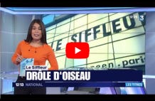 Vidéo Lire la vidéo